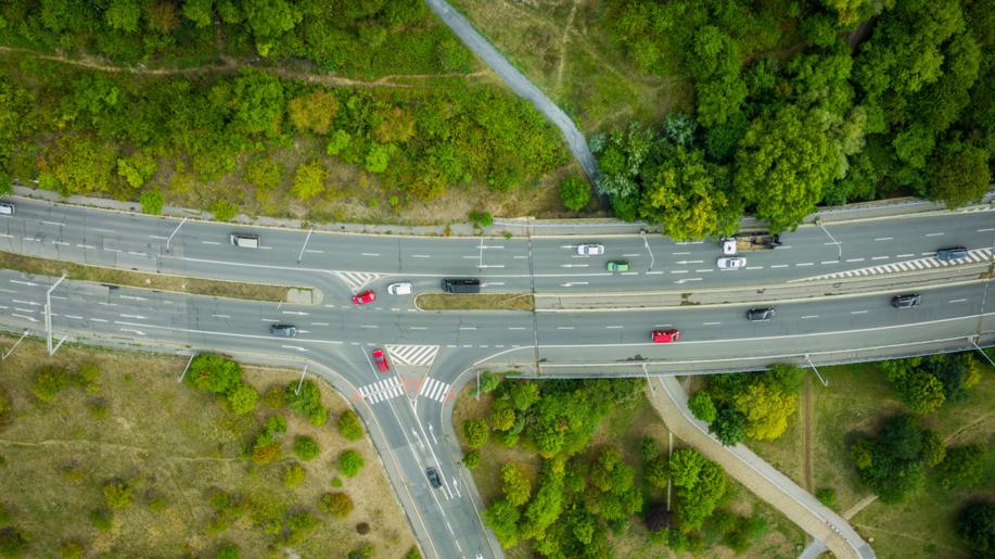 Na dálnicích se ročně stane přes 460 nehod se zvěří, podzim je rizikový