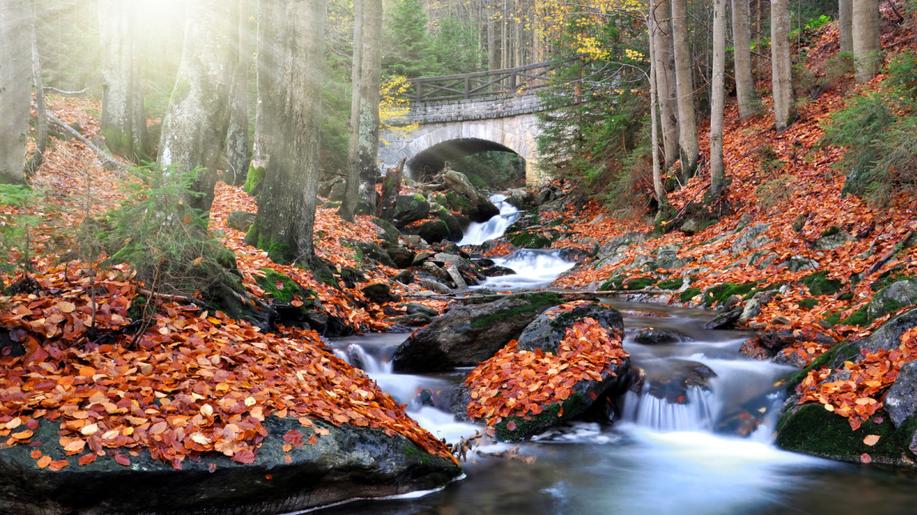 Před 60 lety byla vyhlášena CHKO Šumava, Národní park vznikl až v roce 1991