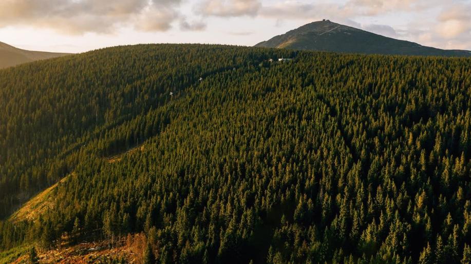 2022: Rok veder, sucha a požárů, ve kterém začala agrese na Ukrajinu a energetická krize