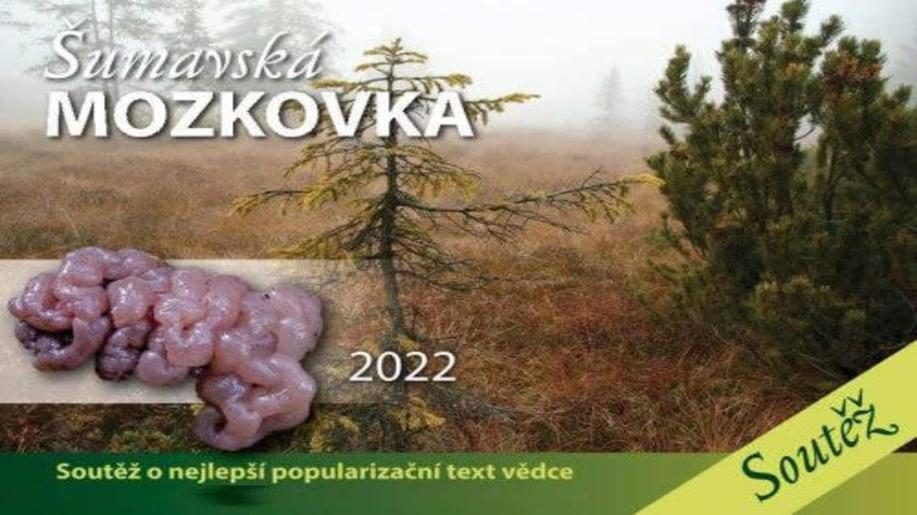 O vítězi devátého ročník soutěže Šumavská mozkovka rozhodl jediný hlas