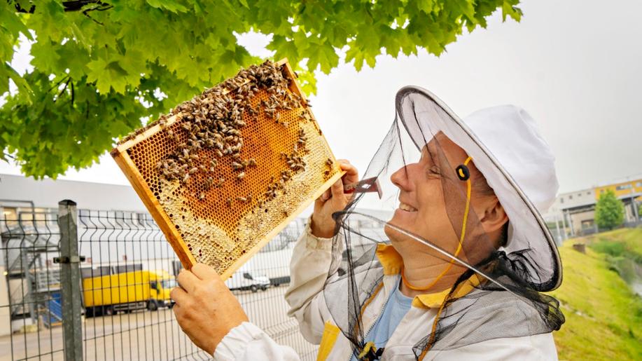20. května slavíme Světový den včel