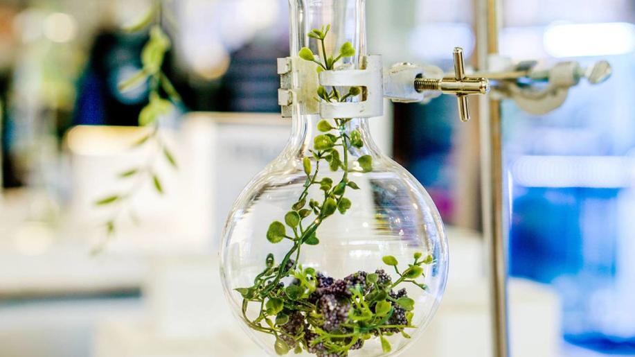 L'ORÉAL INVESTUJE DO BIOTECHNOLOGICKÉHO PODNIKU, ABY ROZŠÍŘILA VÝVOJ ROSTLINNÝCH SLOŽEK PRO UDRŽITELNOU KRÁSU