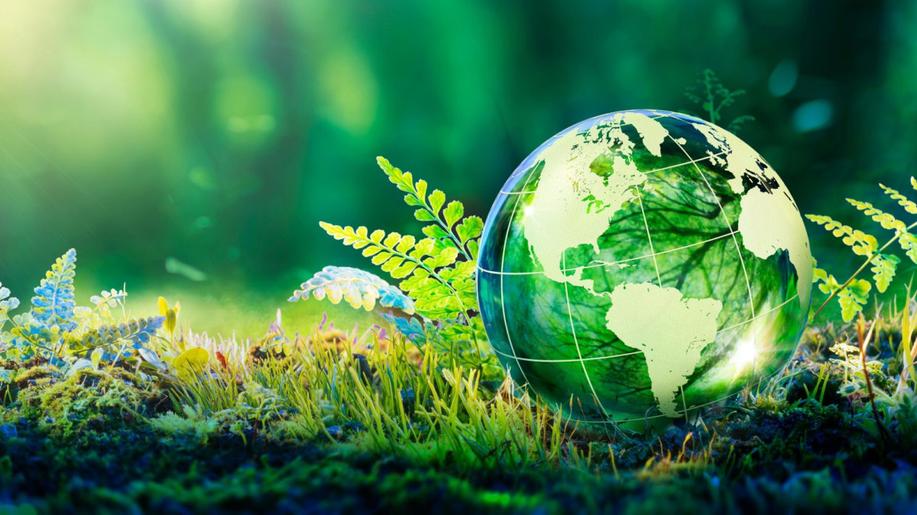 Průzkum EY ukázal výrazné rozdíly mezi českými a globálními společnostmi v postojích ke klimatickým opatřením 