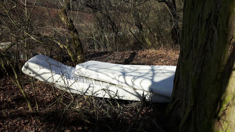 Plzeň přitvrzuje v boji proti nelegálním skládkám