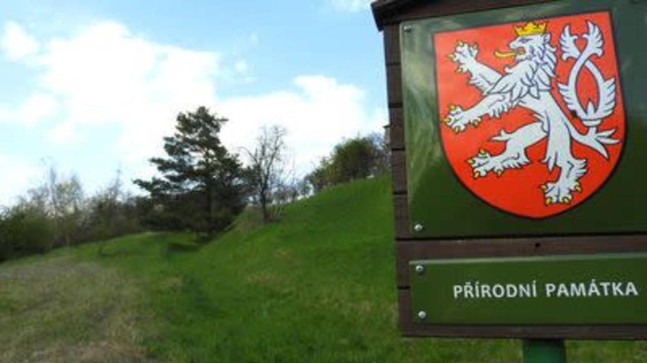 Louka u Vojkova nedaleko Říčan u Prahy bude přírodní památkou