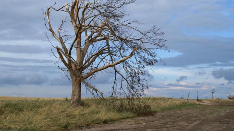 V květnu se v Ženevě budou meteorologové a hydrologové z celého světa bavit o nezbytnosti včasných výstrah před extrémními jevy změny klimatu