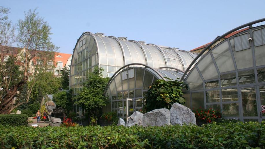 Botanická zahrada Masarykovy univerzity zve na masožravky