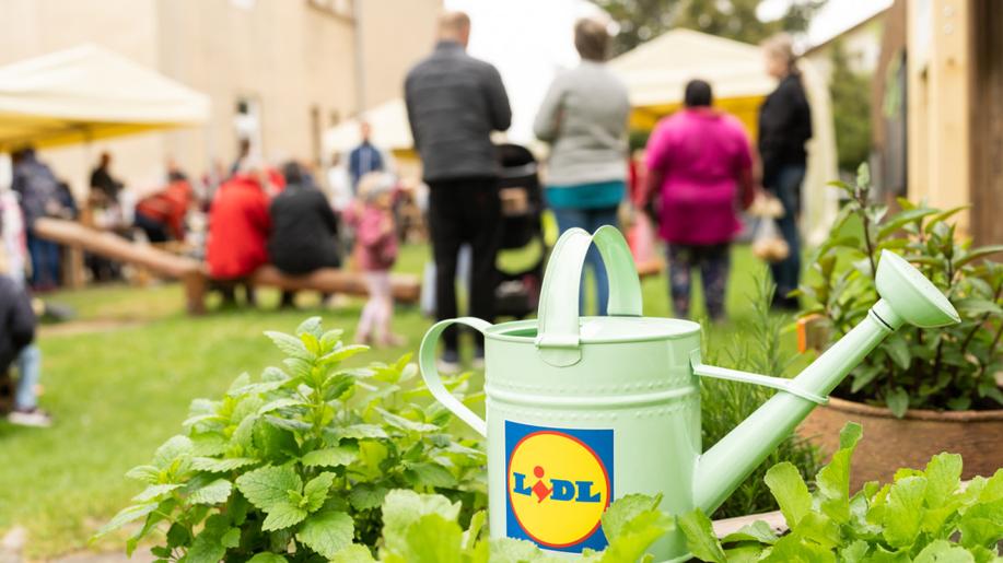 LIDL PODPOŘÍ VÝSTAVBU DALŠÍCH ŠESTI JEDLÝCH ŠKOLNÍCH ZAHRAD