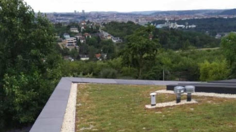 Popularita zelených střech u nás stoupá. Češi si je pořizují zejména v kombinaci s fotovoltaickými panely