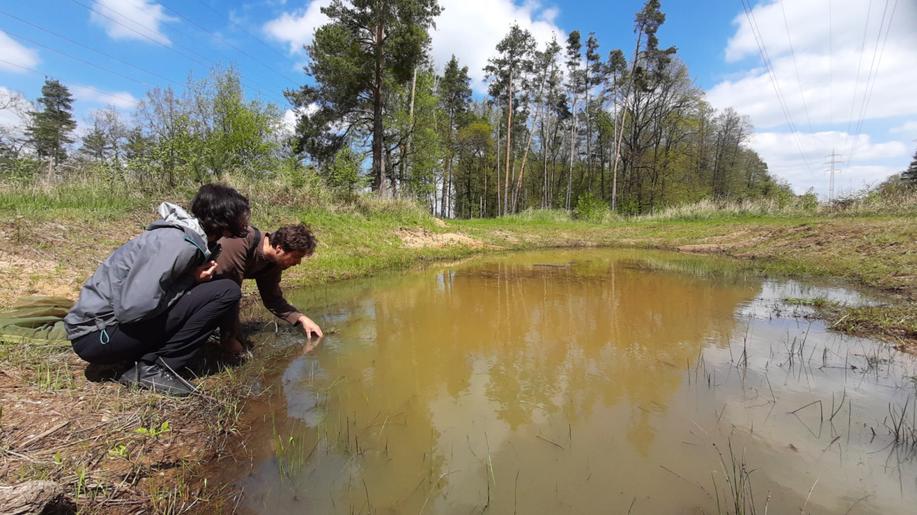 Příroda pod dráty: Plochy pod elektrovody skýtají obrovský potenciál při obnově bezlesí jakožto nejohroženějšího biotopu na světě