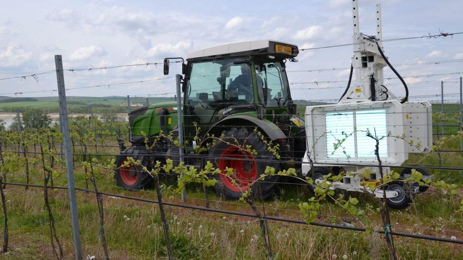 Budoucnost ochrany révy vinné  BOHEMIA SEKT testuje pokrokovou technologii UV Boosting