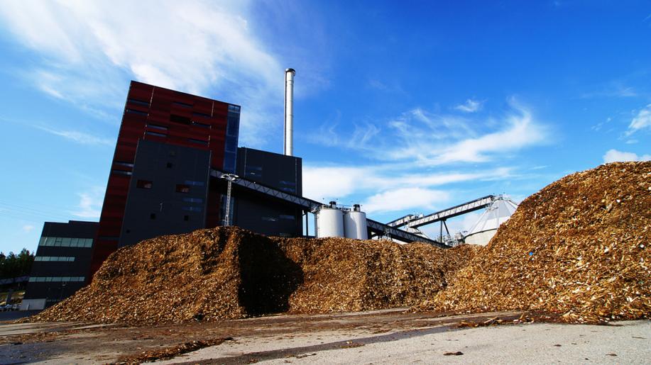 Kritéria udržitelnosti lesní biomasy využívané pro energetické účely
