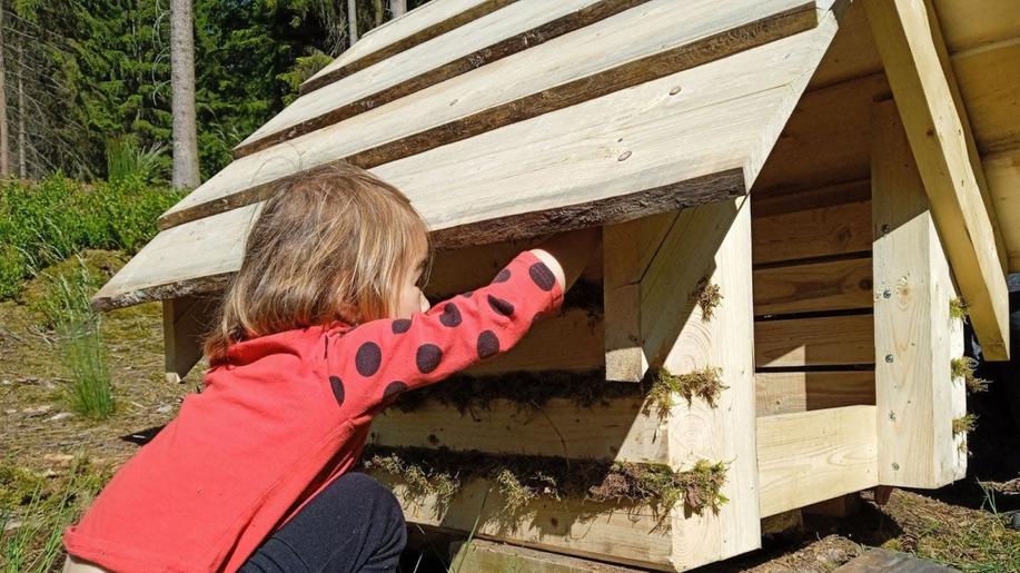 Po přihlášení do Klubu nového lesa obnovili na Rumbursku lesní studánku