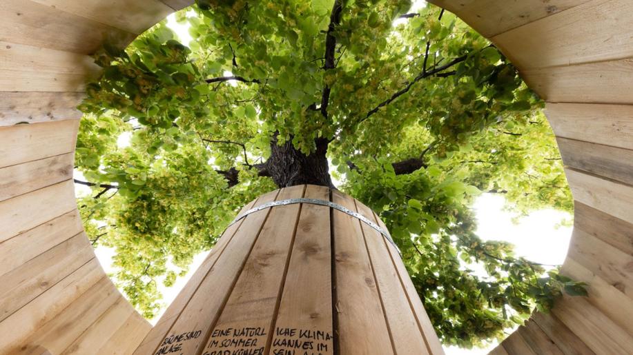 Uprostřed Vídně vznikl dům ve stromě