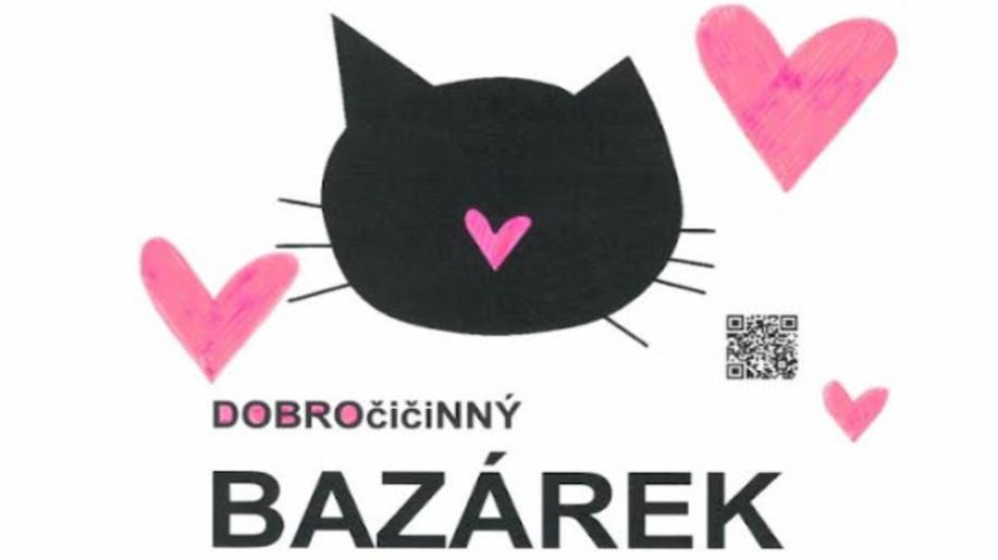 Den koček s Kryšpínem pro 10 útulků a 1092 opuštěných koček - to je brněnská oslava mezinárodního svátku, která potěší i pomůže