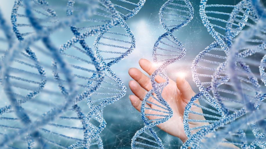 Jak zlepšit ochranu biodiverzity? Sledovat její genetickou úroveň s ohledem na klimatickou změnu