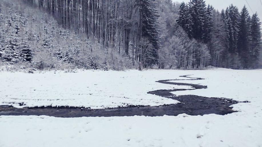 Ospitský potok zase přirozeně meandruje krajinou Ospitský potok zase přirozeně meandruje krajinou
