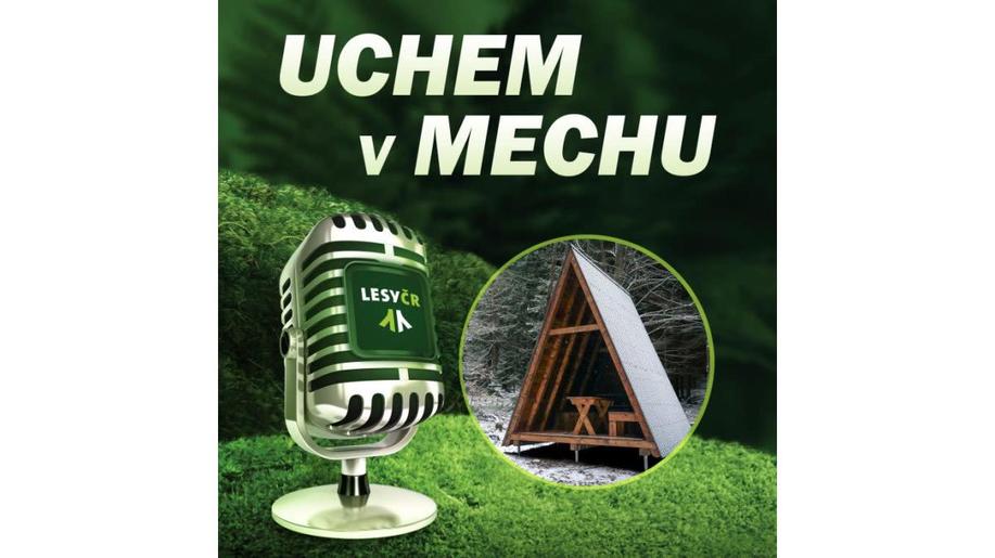 Uchem v mechu o útulnách
