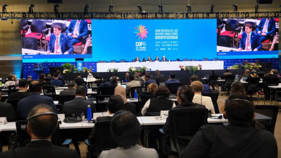 V kolumbijském Cali proběhla nejdůležitější konference OSN k ochraně biodiverzity. ČR zastupovala delegace MŽP vedená ministrem Hladíkem V kolumbijském Cali proběhla nejdůležitější konference OSN k ochraně biodiverzity. ČR zastupovala delegace MŽP vedená ministrem Hladíkem
