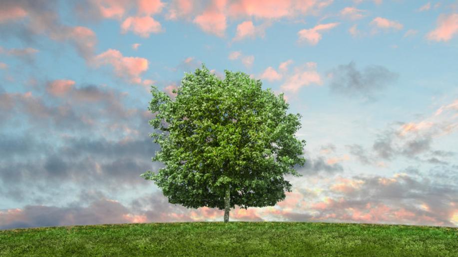 České projekty mají velký zájem o zapojení do evropského programu LIFE. Do národních výzev programu LIFE přišlo více než padesát žádostí České projekty mají velký zájem o zapojení do evropského programu LIFE. Do národních výzev programu LIFE přišlo více než padesát žádostí