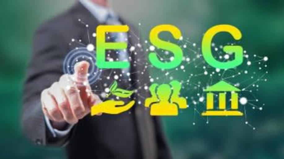 Nejčastější ESG nástroje českých firem? Papír, tužka a excel Nejčastější ESG nástroje českých firem? Papír, tužka a excel