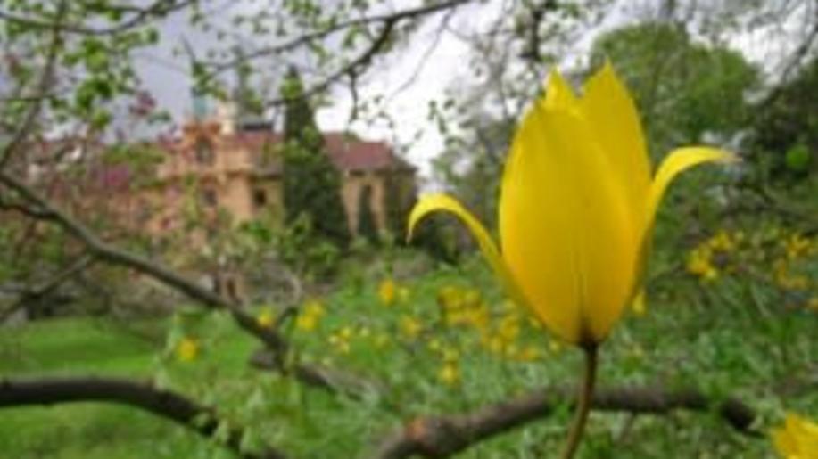 Průhonický park otevírá nové expozice, láká na jarní květiny i české pohádky Průhonický park otevírá nové expozice, láká na jarní květiny i české pohádky