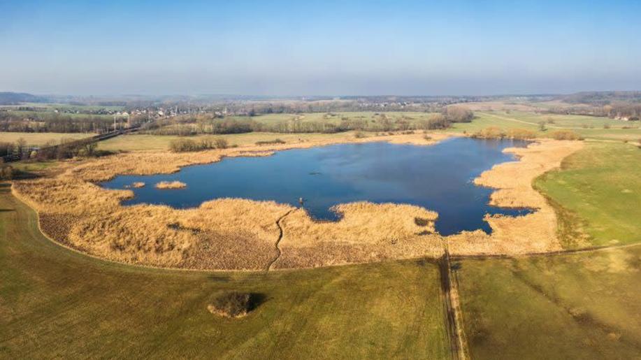 ČSO: Připravujeme šestý ptačí park - Rzy ve východních Čechách ČSO: Připravujeme šestý ptačí park - Rzy ve východních Čechách