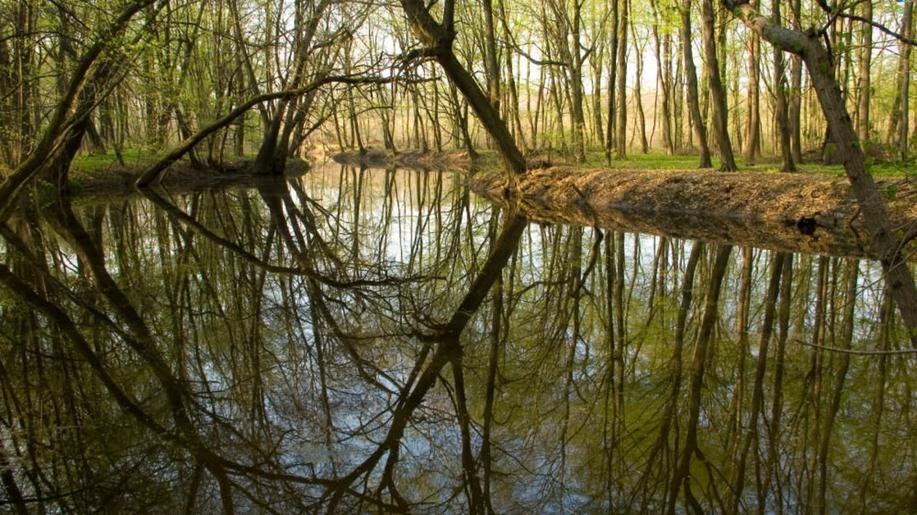 Soutok: Jedna příroda, jedna CHKO, dvě petice