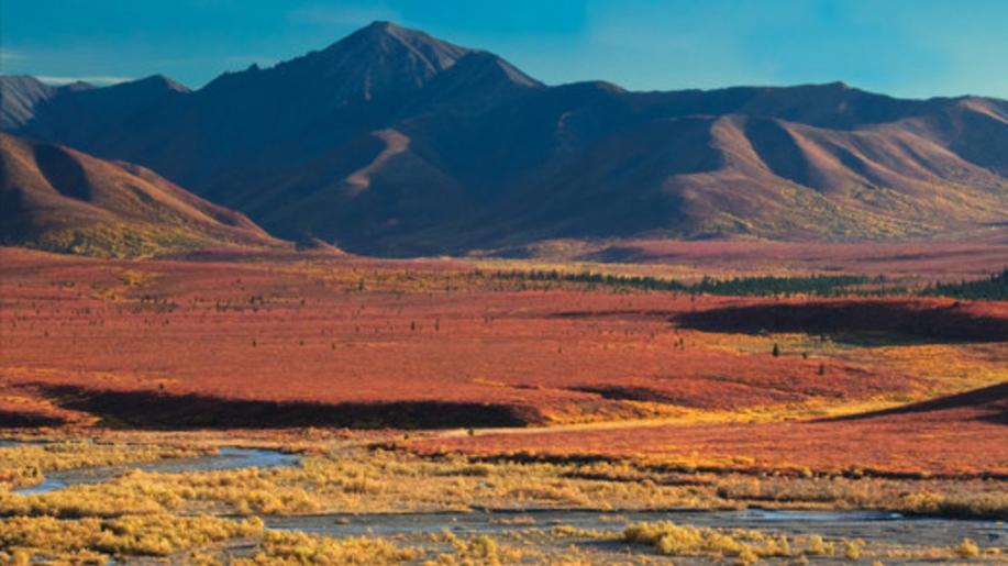 Aljašské řeky se kvůli klimatickým změnám barví na oranžovo, zjistila studie
