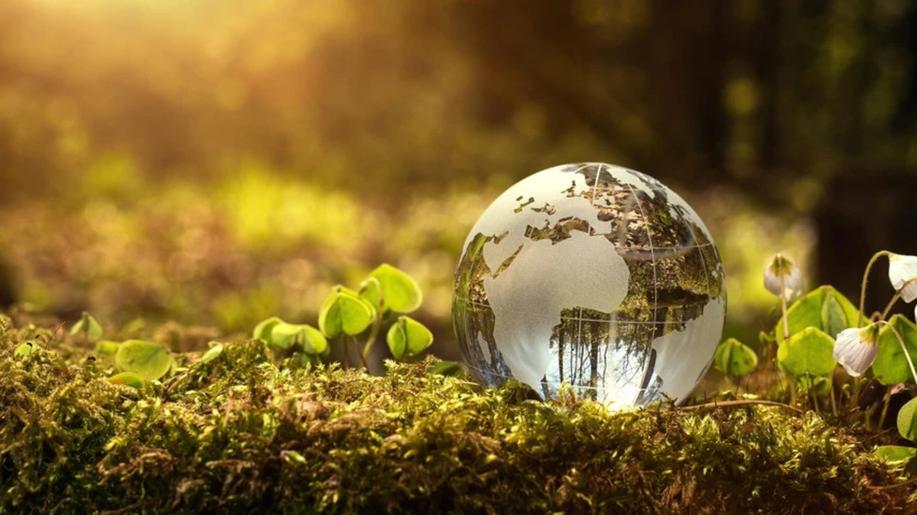 Šest projektů se utká ve finále soutěže E.ON Energy Globe zaměřené na ekologii