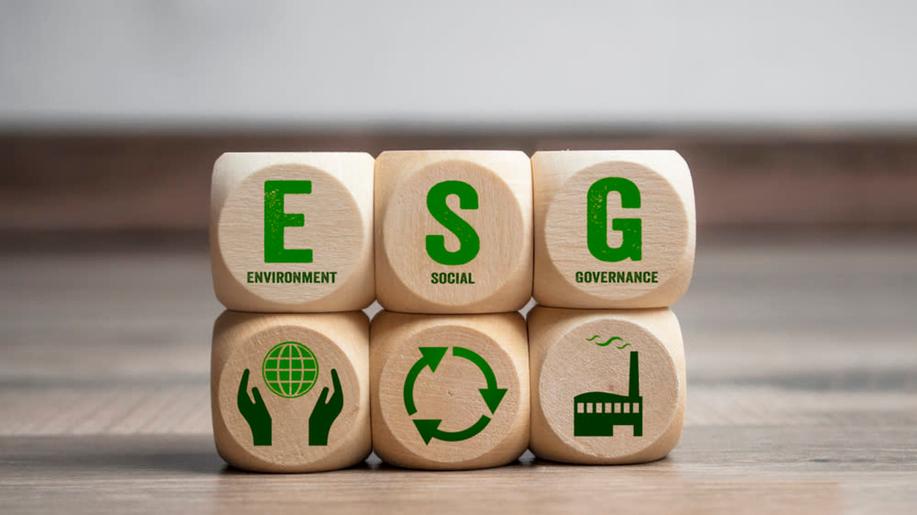 ESG v praxi: Diverzita, inkluze a energetická efektivita jako hnací síla změn