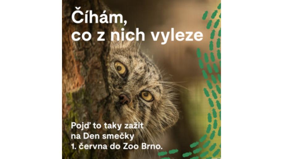 Brněnská zoo oslaví Den smečky, pobavte se a poznejte naši novou tvář!