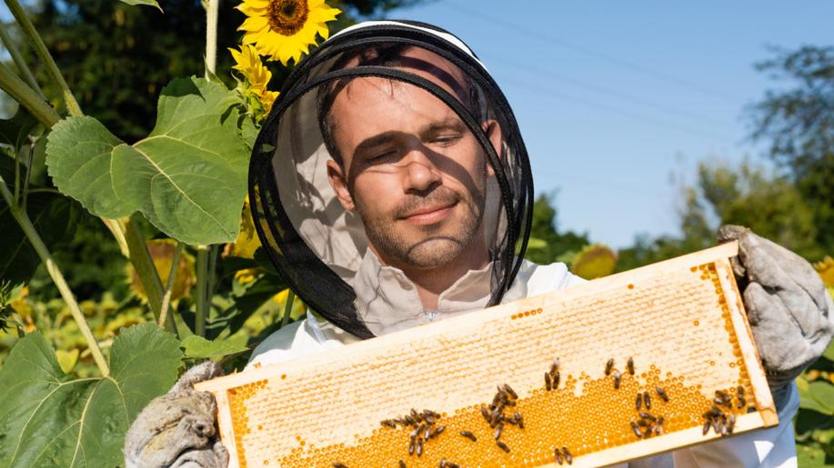 Zlínský kraj rozdělí letos mezi včelaře 1,198 mil. Kč, podpoří 102 včelařů