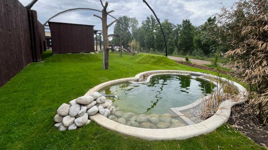 Zabavené chladnomilné šelmy naleznou dočasný azyl v Táboře. Zoo otevřela unikátní záchranné centrum