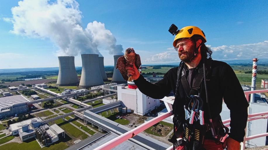 Skupina ČEZ a Český svaz ochránců přírody spojují síly při ochraně biodiverzity