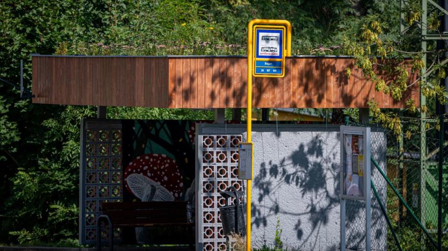 Zeleň i na neobvyklých místech, zodpovědné nakládání s vodou v krajině 
