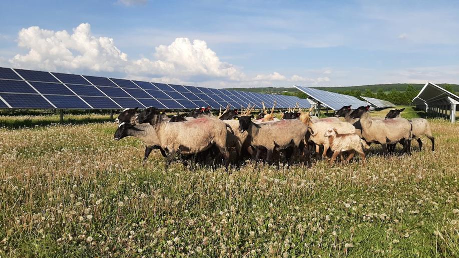Je možné, aby produkce elektrické energie ze solárních panelů byla ještě ekologičtější? Je možné, aby produkce elektrické energie ze solárních panelů byla ještě ekologičtější?