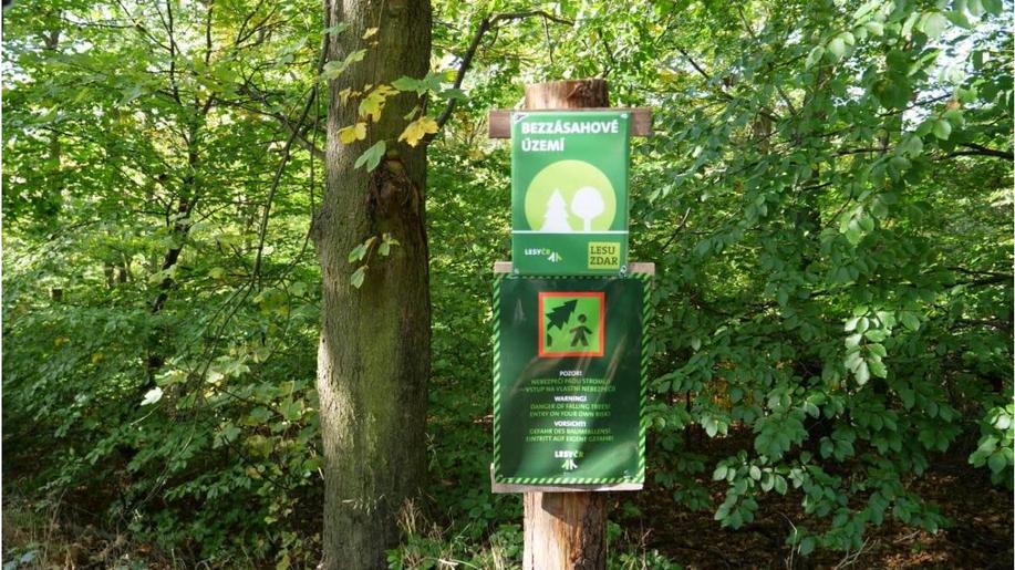V Krušných horách Lesy ČR obnovují porosty, chrání přírodu i návštěvníky V Krušných horách Lesy ČR obnovují porosty, chrání přírodu i návštěvníky