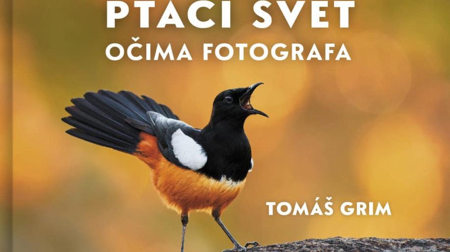 Nové knihy - Ptačí svět očima fotografa Nové knihy - Ptačí svět očima fotografa