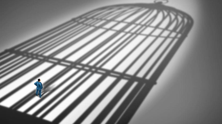 Soudní dvůr EU svým rozhodnutím umožnil významným nevládním organizacím na ochranu zvířat připojit se k žalobě za Konec doby klecové Soudní dvůr EU svým rozhodnutím umožnil významným nevládním organizacím na ochranu zvířat připojit se k žalobě za Konec doby klecové