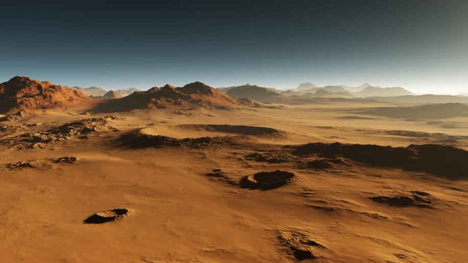 Lišejníkům se daří i v podmínkách podobných těm na Marsu, zjistila studie