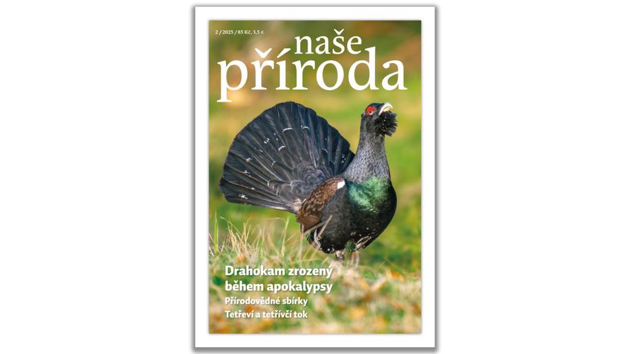 Za jarním sluníčkem s Naší přírodou 2/25