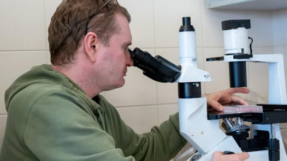 Vědci objevili parazita, který vymyslel evoluční fintu
