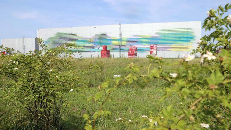 Mokřad Coca-Cola se stal domovem desítek druhů ptáků a naučnou stezku doplnil umělecký mural