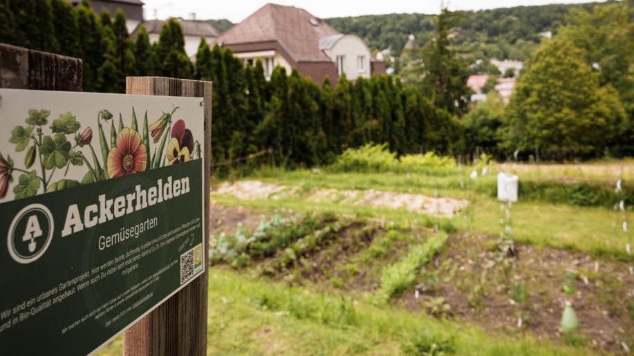 Zelenina ze hřbitova: Vídeň podporuje netradiční urban gardening