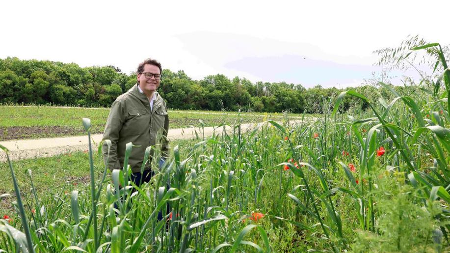 Mladí mění Vídeň: park budoucnosti chrání klima i přírodu