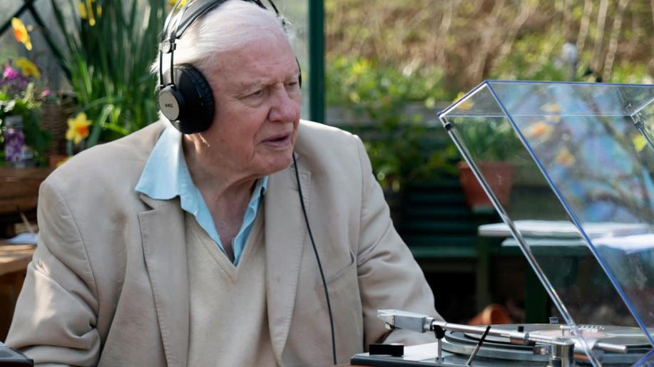 David Attenborough: Písně přírody Podmanivá přírodní událost oslavující nejvýjimečnější hlasy přírody
