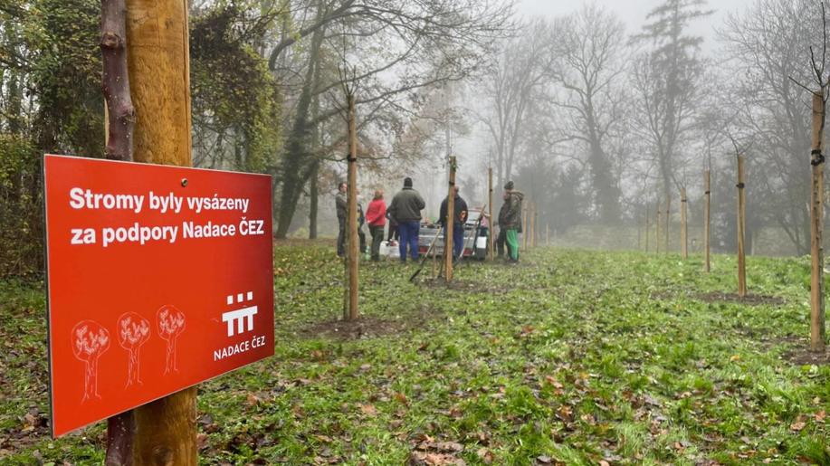 V letošních kolech grantu Stromy uspělo 132 projektů. Celkem už se díky Nadaci ČEZ vysadilo v obcích téměř 150 000 stromů 