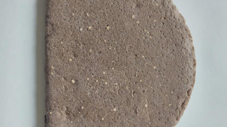 Čeští vědci vyvinuli pěnu z přírodní gumy a ligninu. Může nahradit syntetické materiály a snížit zátěž pro životní prostředí