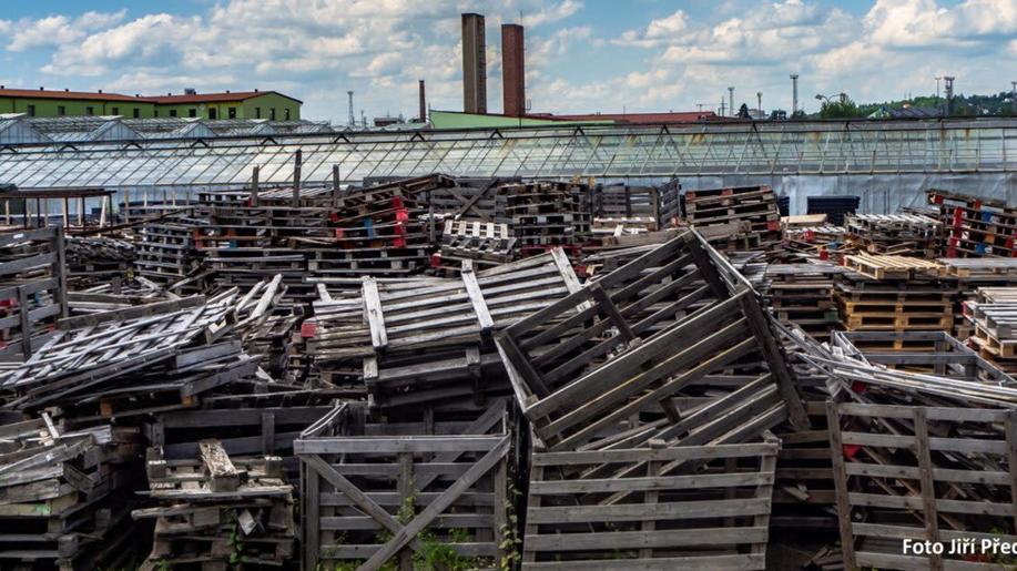 Odpadová data za 2024 byla zveřejněna